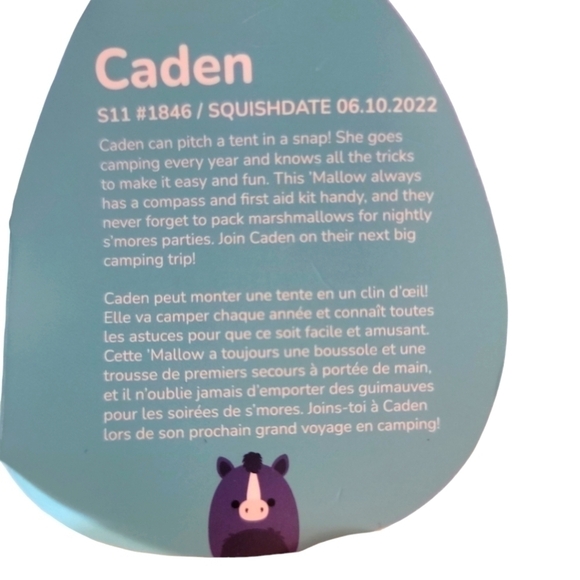 Squishmallow Caden Rare collectible       (11 in.) - Picture 6 of 6